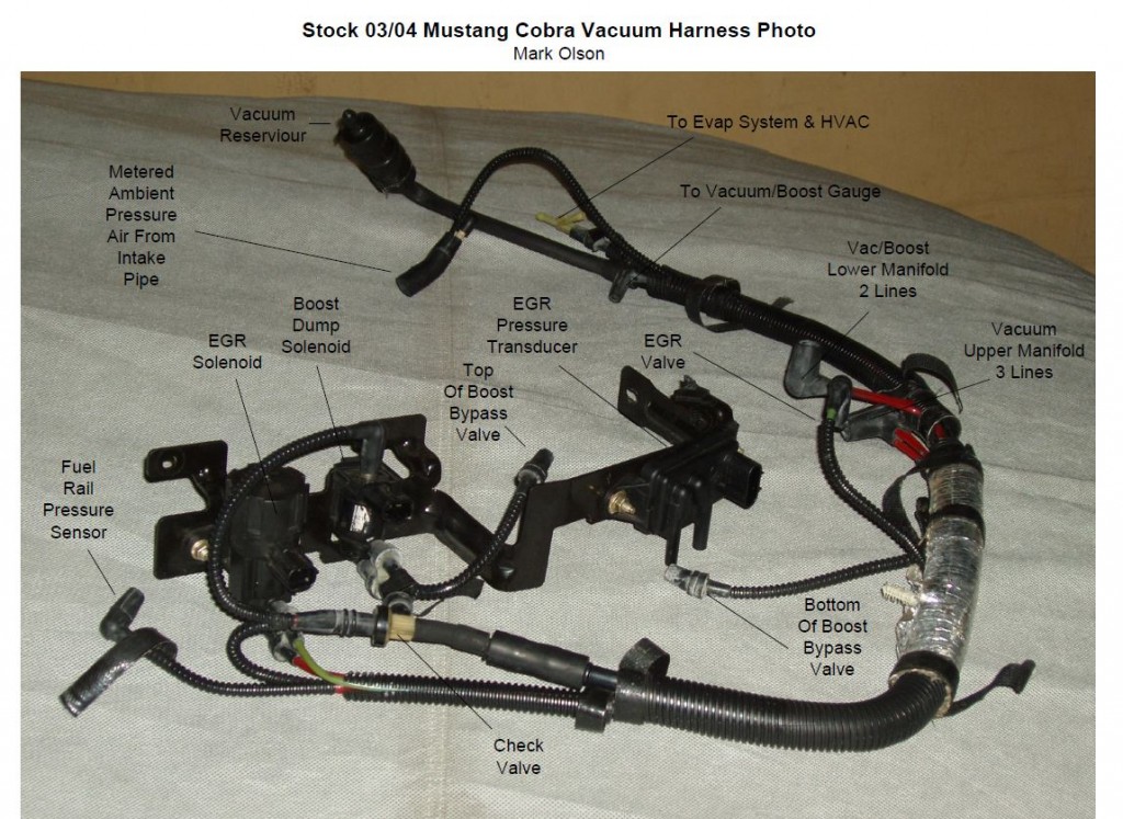 Vacuum Routing Diagram For A 2003 2004 Cobra Mustang