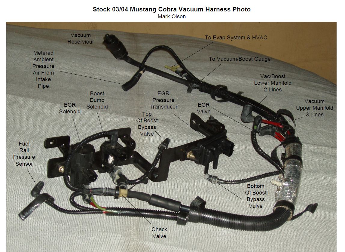 Vacuum Routing Diagram for a 2003, 2004 Cobra Mustang