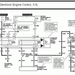 PCM to Fuel Pump to ECU wiring diagram