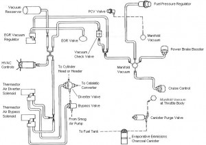 87-93 Fox Body Mustang 5.0 Vacuum Diagram